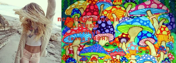 2c-b Балабаново