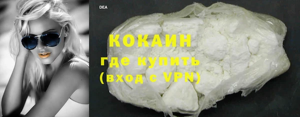 индика Баксан