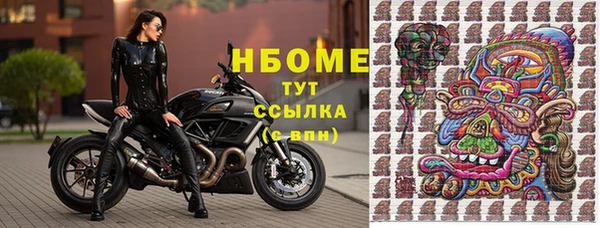 индика Баксан
