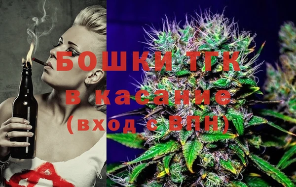 хмурый Арсеньев