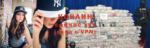 хмурый Арсеньев