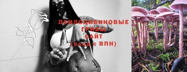 ПСИЛОЦИБИНОВЫЕ ГРИБЫ Балахна