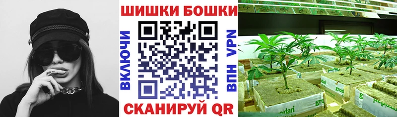Конопля индика  Пролетарск 